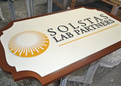 panel "solstas lab partners"