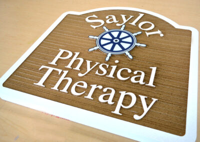 panel "saylor physical therapy"
