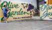 "Olive Garden" Custom Signage 